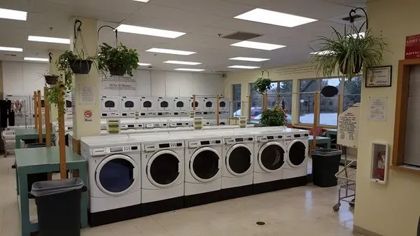 Inside Belfair Laundry with rows of washers and dryers